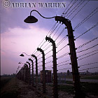 The electrified perimeter fence at Auschwitz II - Birkenau