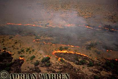 Bush Fire, aerialafrica09.jpg 
320 x 215 compressed image 
(70,205 bytes)
