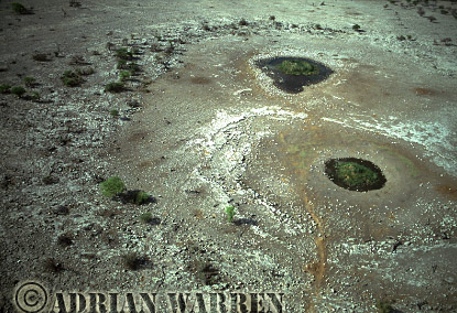 Water Hole, etosha12.jpg 
320 x 218 compressed image 
(85,304 bytes)