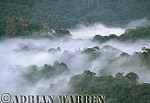 Nyungwe Forest, African Aerials, Preview of: 
aerialafrica04.jpg 
320 x 218 compressed image 
(58,709 bytes)