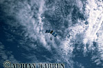 AW_skydive2