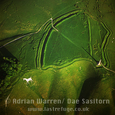 Aerial image of Oldbury Castle Hillfort and Oldbury White Horse (or Cherhill white horse), Cherhill, Wilthsire