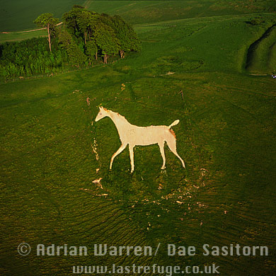 Aerial image of Oldbury White Horse (or Cherhill white horse), Cherhill, Wilthsire