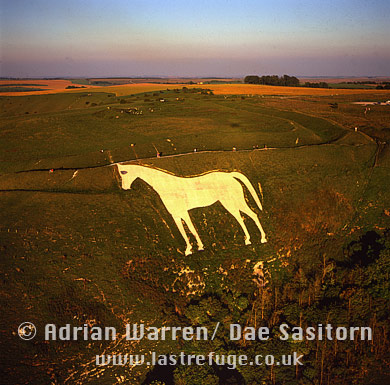 Aerial photo of Westbury White horse (or Bratton White Horse), Westbury, Wiltshire