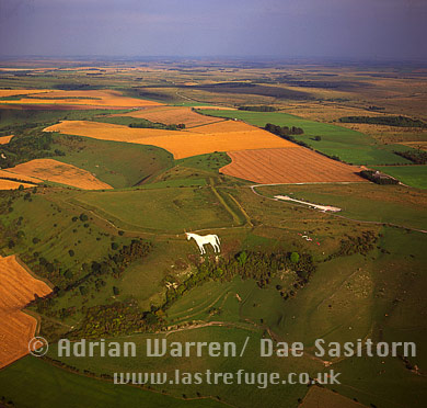 Aerial view of Westbury (Bratton) White horse and Bratton Camp Hillfort, Westbury, Wiltshire