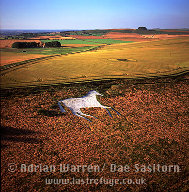 Aerial image of New Devizes White Horse, Devizes, Wiltshire