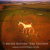 the alton barnes white horse, wiltshire