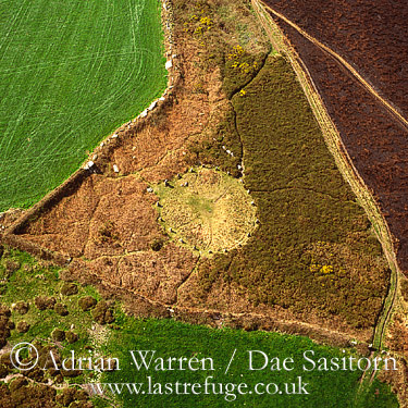 Aerial image of Stone Circle north west of Lower Bostraze, Cornwall, England
