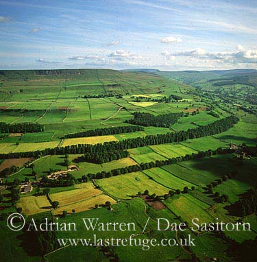 AW_Yorkshire_dales16