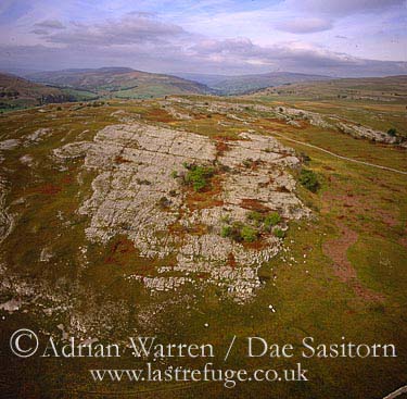 AW_Yorkshire_dales32