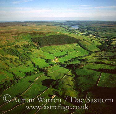 AW_Yorkshire_dales47