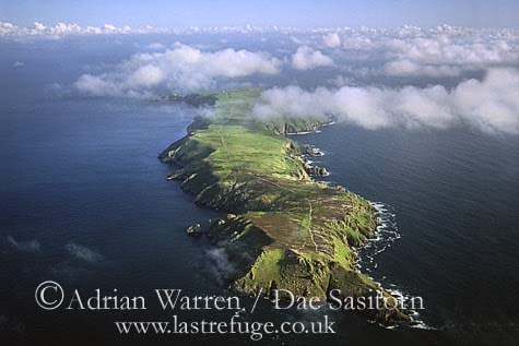 Lundy Island, Devon, awuk173