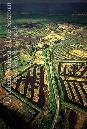 aerial of Peat Extraction site, Somerset Level, England , awuk228