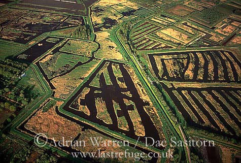 aerial of Peat Extraction site, Somerset Level,  England ,awuk229