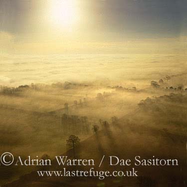 Fog over Somerset Level, Somerset, England , awuk244