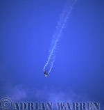 AW_airshow106