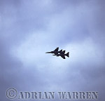 AW_airshow113