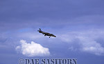AW_airshow115