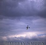 AW_airshow121