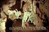 Vampire BAT (Desmodus rotundus) roosting cave, Preview of: 
bats16.jpg 
320 x 221 compressed image 
(58,338 bytes)