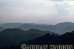  Misty forest dawn, Nyungwe Forest, Rwanda, Preview of: 
forest06.jpg 
320 x 215 compressed image 
(50,496 bytes)