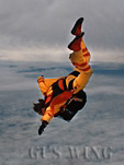 Preview of: 
IMAX_skydiving05.jpg 
234 x 310 JPEG-compressed image 
(26,498 bytes)
