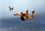 To Image Gallery of Skydiving with IMAX