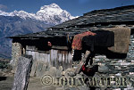 b-JWnepal9 : Typical Dwelling, north of Ghorepani, Nepal