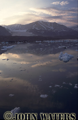 JWsvalbard28 : Liefde Fjord in Summer, Svalbard, Norway