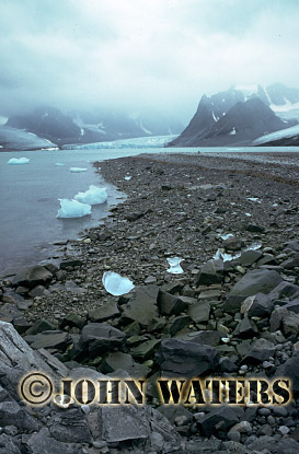 JWsvalbard39 : Magdalene Fjord in Summer, Svalbard, Norway