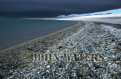 JWsvalbard40 : Shoreline, Vibebukta, Svalbard, Norway
