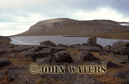 JWsvalbard45 : High Arctic Tundra, Barents Island, Svalbard, Norway