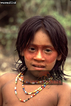 Waorani Indian, Ecuadaor,  tribe_SUSA01.jpg 
236 x 350 compressed image 
(71,678 bytes)