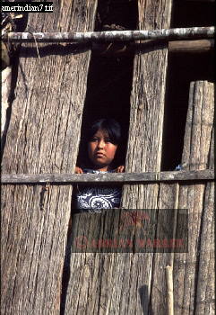 Amerindians, tribeSUSA40.jpg 
241 x 350 compressed image 
(95,381 bytes)
