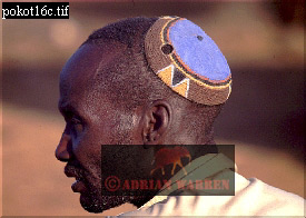 Pokot, tribe_Africa10.jpg 
275 x 196 compressed image 
(49,195 bytes)