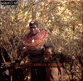 Pokot, tribe_Africa12.jpg 
275 x 268 compressed image 
(104,341 bytes)
