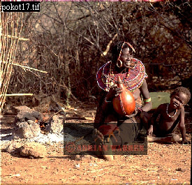 Pokot, tribe_Africa13.jpg 
275 x 265 compressed image 
(99,886 bytes)
