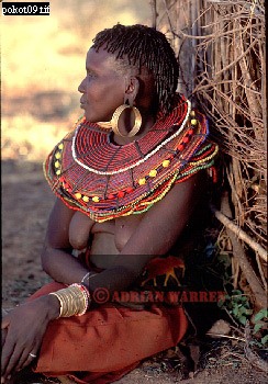 Pokot, tribe_Africa14.jpg 
244 x 350 compressed image 
(96,184 bytes)
