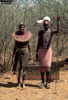 Pokot, tribe_Africa15.jpg 
239 x 350 compressed image 
(110,634 bytes)