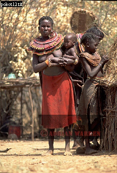 Pokot, tribe_Africa16.jpg 
236 x 350 compressed image 
(96,180 bytes)