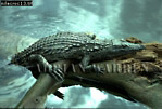 Nile Crocodile, Preview of: 
crocs15.jpg 
350 x 238 compressed image 
(85,076 bytes)