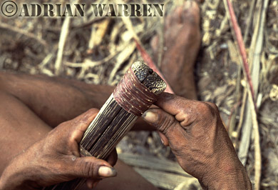 AW_Waorani63, Waorani Indians : Blow gun making, rio Cononaco, Ecuador, 1983 Blowgun