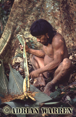 AW_Waorani65, Waorani Indians : Curare Preparation, rio Cononaco, Ecuador, 1983