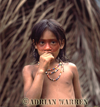 AW_Waorani03, Waorani Indians : Use of ACHIOTE for decoration, rio Cononaco, Ecuador, 1983