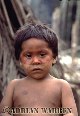 AW_Waorani05, Waorani Indians, children : Use of ACHIOTE for decoration, rio Cononaco, Ecuador, 1983