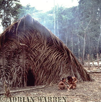 AW_Waorani76, Waorani Indians, traditional settlement, rio Cononaco, Ecuador, 1983