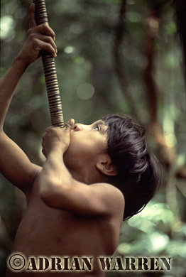 AW_Waorani50, Waorani Indians, Boy learning to use Blowgun, near rio Cononaco, Ecuador, 1983