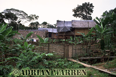 AW_Waorani1037, Waorani Indians : Settlement by oil company road to Gadeno, Ecuador, 2002