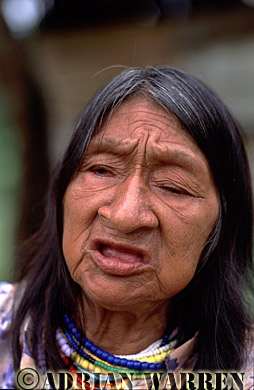 AW_Waorani1059, Waorani Indians : Ome at Tonaempaede, Ecuador, 2002