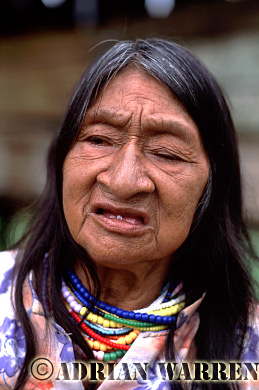 AW_Waorani1060, Waorani Indians : Ome at Tonaempaede, Ecuador, 2002